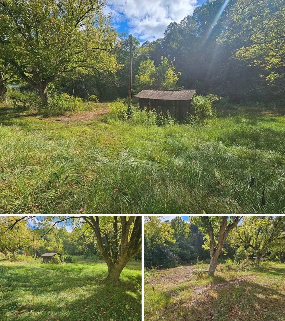 48-Acre Country Land with Highway Access, Timber Rights & Prime Building Potential
