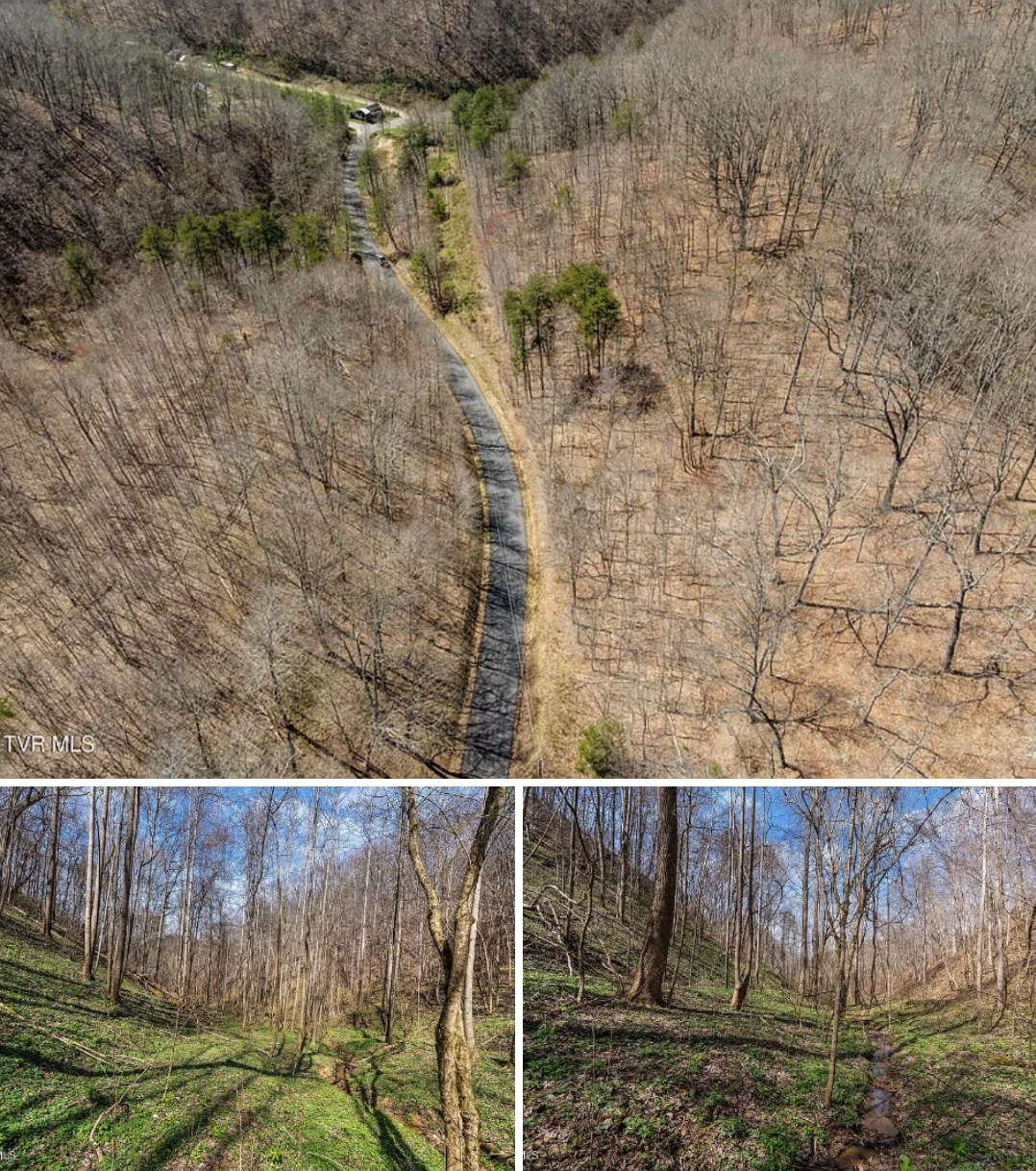 59-Acre Secluded Mountain Retreat with Creek, Spring Water, Road Frontage & Endless Potential
