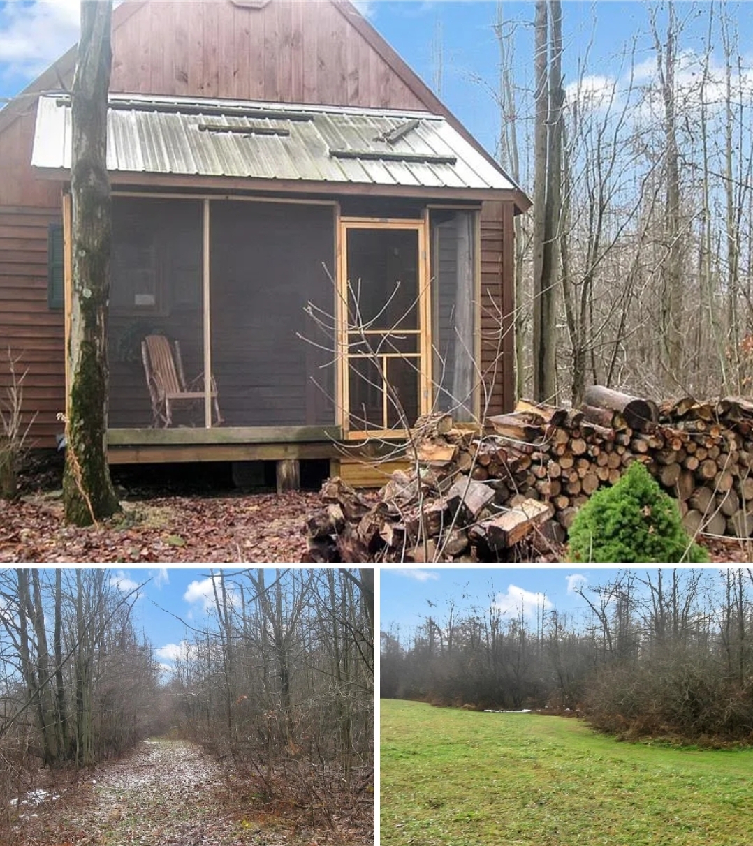 Wooded Getaway with Cabin, Trails & Hunting Setup