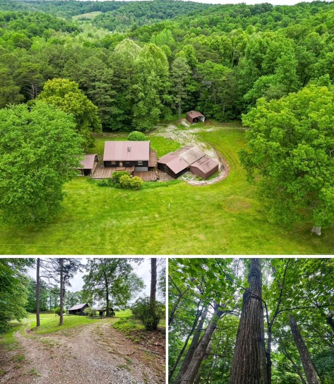 270 Acres with Hunting Cabin 1 beds 2 baths