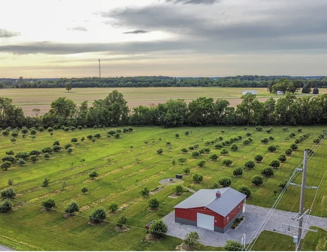 27 Acres with Income-Producing Orchard, Creek, Workshop & Country Retreat Opportunity