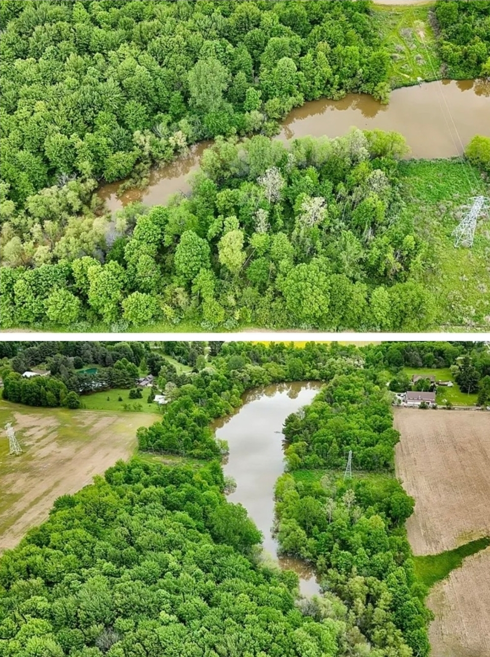 41 Acres with Private Pond, Mature Forest & Ultimate Secluded Retreat Potential