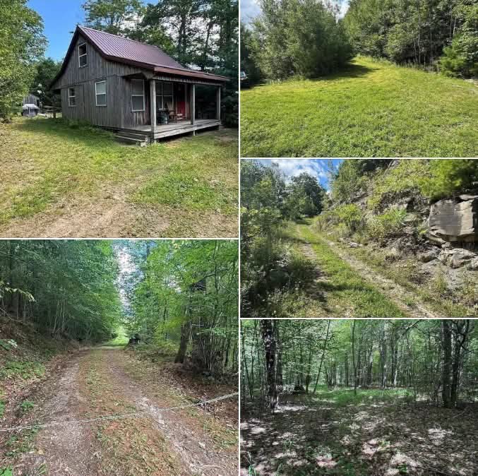 Over 96 Acres Private Cabin Retreat | 1 Bedroom Cozy Cabin