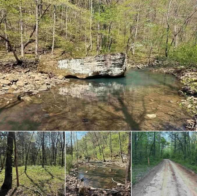 Stunning 9.78 Acres with Creek, Natural Springs & Cave Overhangs – Off-Grid Wilderness Retreat