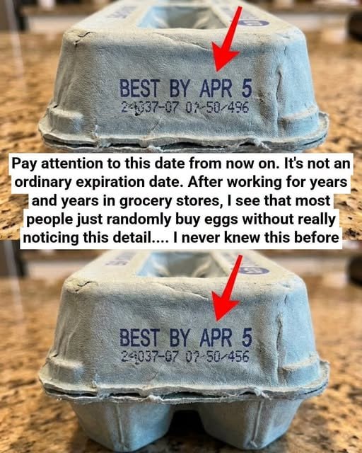 What the Numbers on Your Egg Carton Really Mean