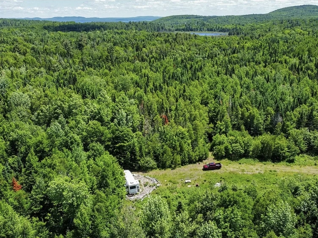 Rare 84-Acre Retreat with Beaver Pond, Interior Road System