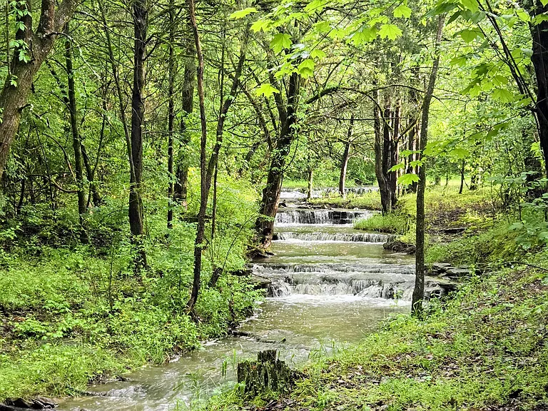 29.81-Acre Private Retreat with Spring-Fed Pond, Waterfalls, Creeks
