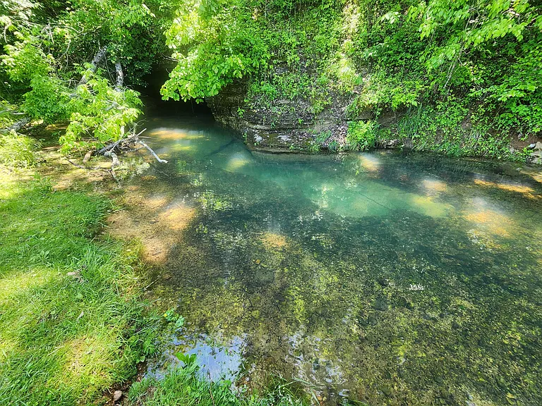 51.48 Acres with Extensive Cave System, Year-Round Creek, and Natural Spring