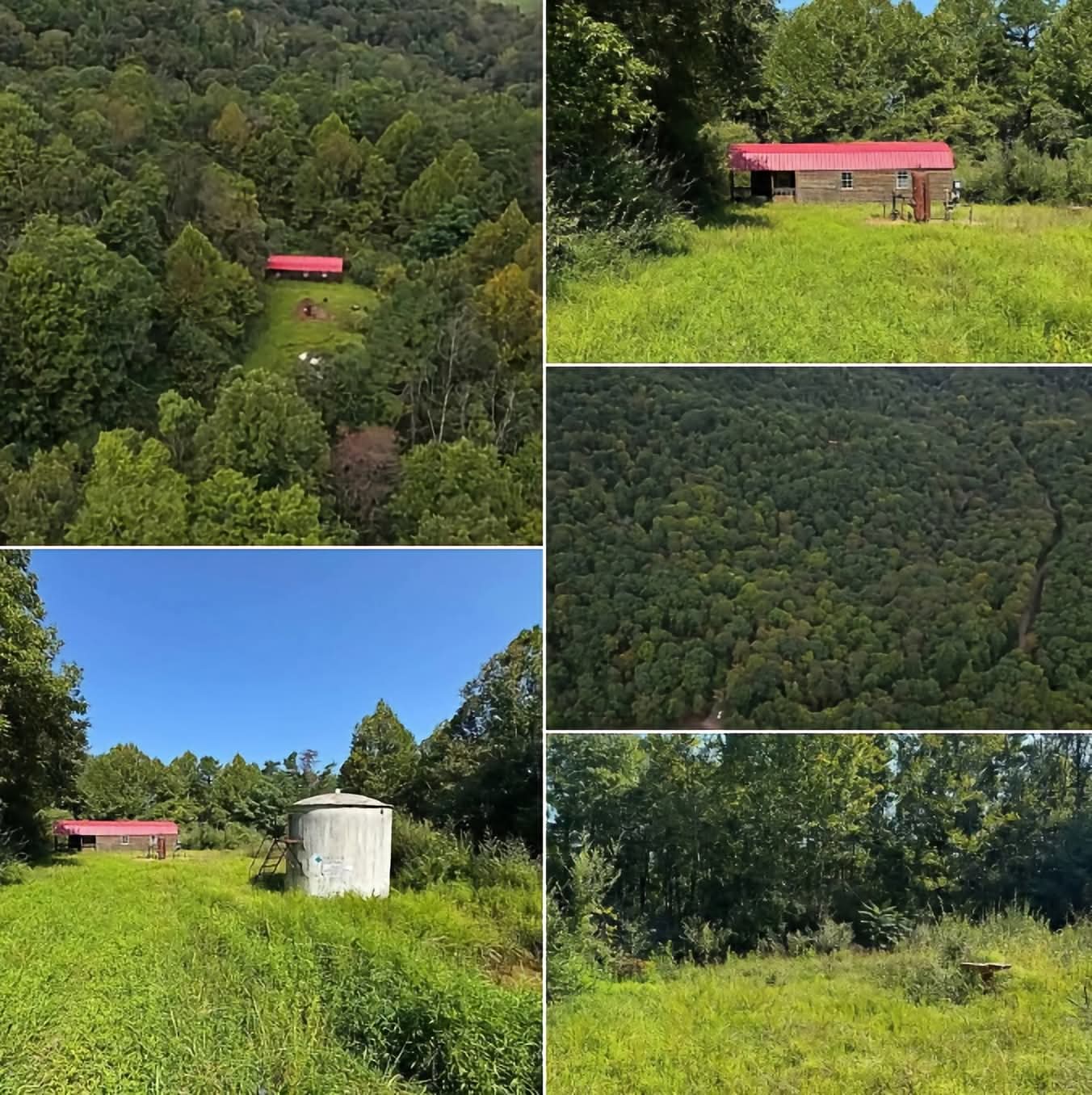 42 Acres with a Cabin and Creek for $75,000
