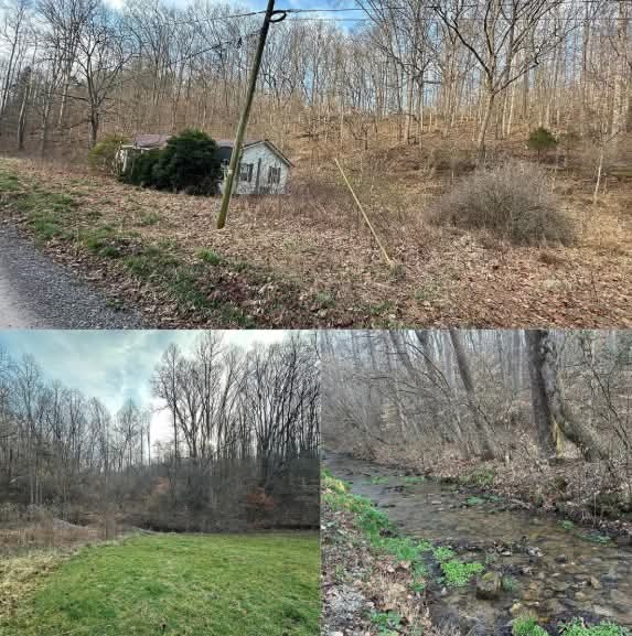 84.61 Acres with a Year-Round Creek, Multiple Homesites, Timber and Mineral Rights