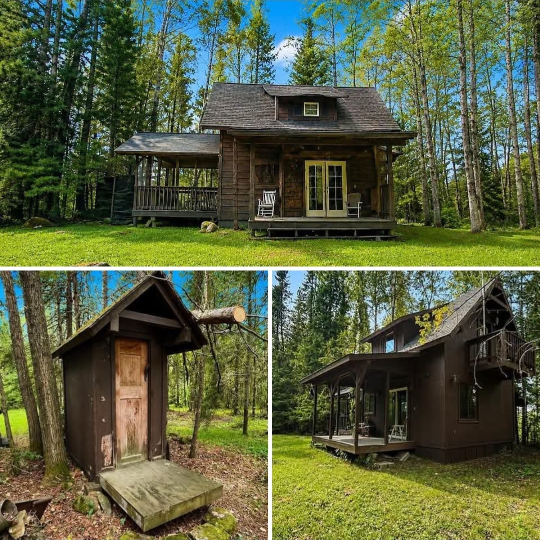 40 Acres Lot Rustic Off-Grid Cabin with Private Creek Access