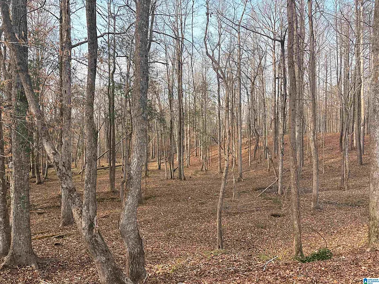 175 Acres of Wooded Land $39,000